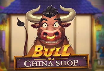 Bull in a China Shop